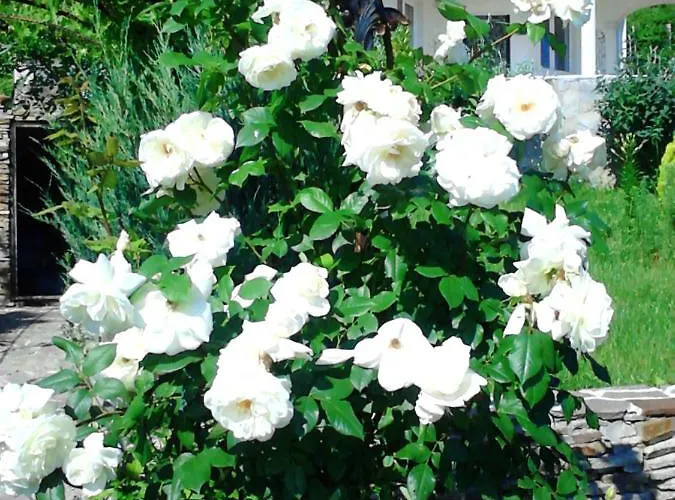 Sky Music Villa Obzor